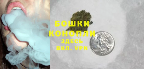 ешки Семилуки