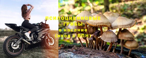 ALPHA PVP Баксан