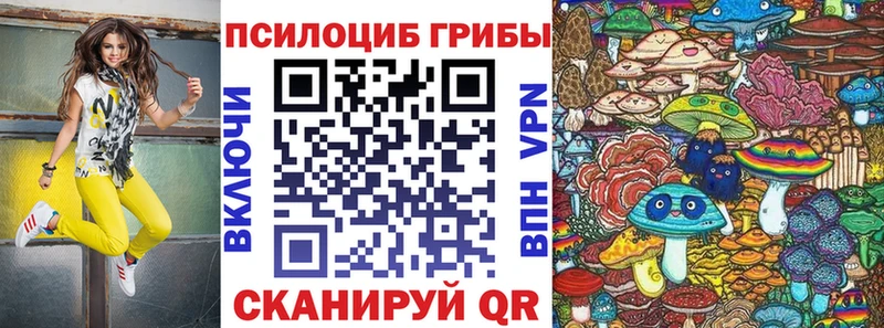 Галлюциногенные грибы мицелий  Суджа 